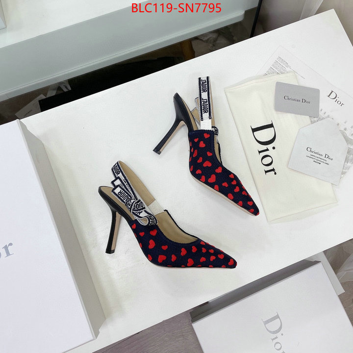 Women Shoes-Dior,what best replica sellers , ID: SN7795,$: 119USD
