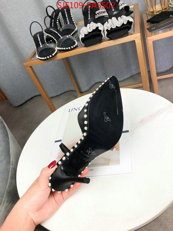 Women Shoes-Alexander Wang,wholesale china , ID: SA5502,$: 109USD