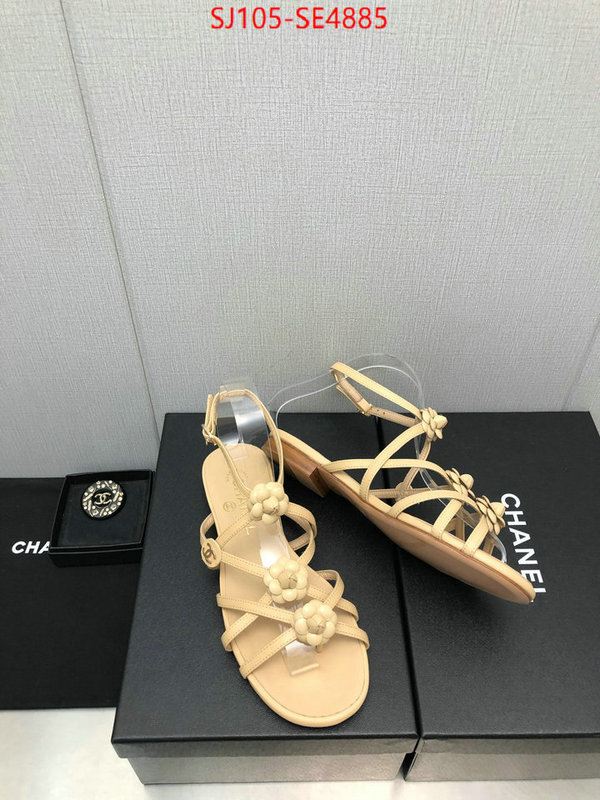 Women Shoes-Chanel,can i buy replica , ID: SE4885,$: 105USD