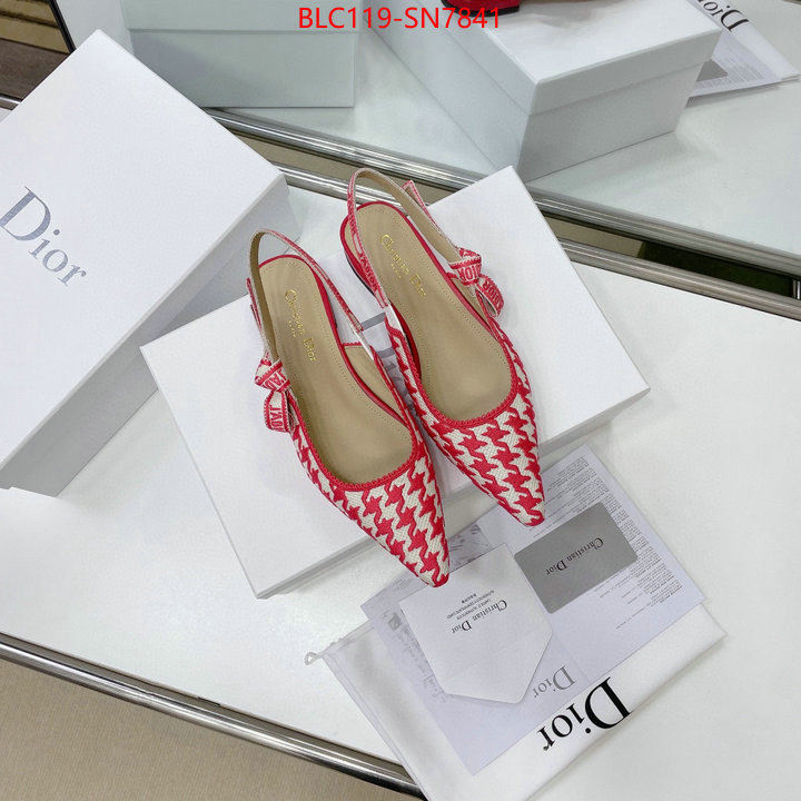 Women Shoes-Dior,outlet 1:1 replica , ID: SN7841,$: 119USD