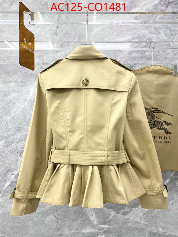 Down jacket Women-Burberry,designer , ID: CO1481,$: 125USD