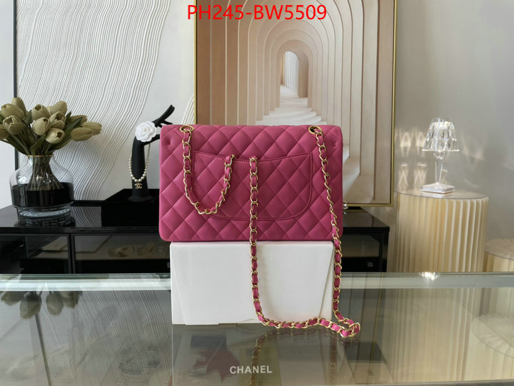 Chanel Bags(TOP)-Diagonal-,ID: BW5509,$: 245USD