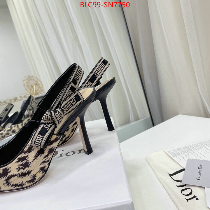 Women Shoes-Dior,high quality designer , ID: SN7750,$: 99USD