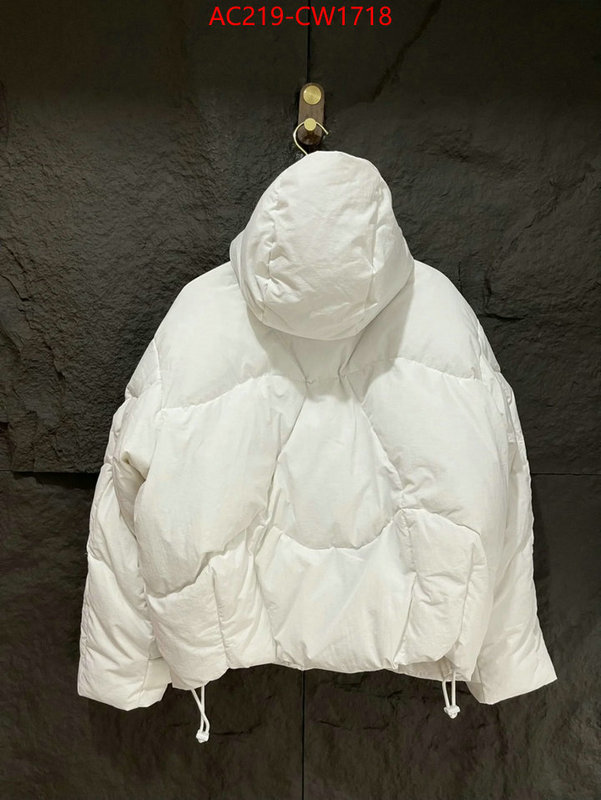 Down jacket Women-LV,high quality replica , ID: CW1718,$: 219USD