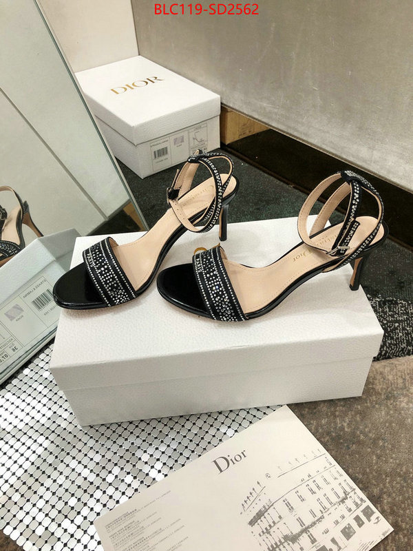 Women Shoes-Dior,first copy , ID: SD2562,$: 119USD