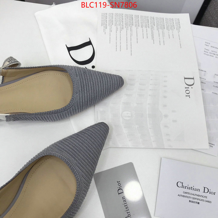 Women Shoes-Dior,how to find replica shop , ID: SN7806,$: 119USD