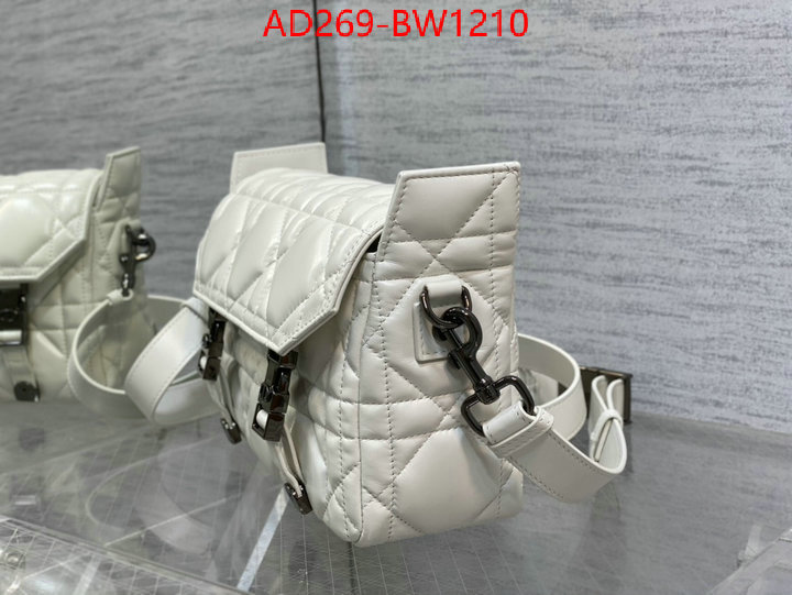 Dior Bags(TOP)-Other Style-,ID: BW1210,$: 269USD