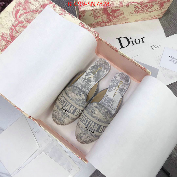 Women Shoes-Dior,1:1 replica wholesale , ID: SN7828,$: 99USD