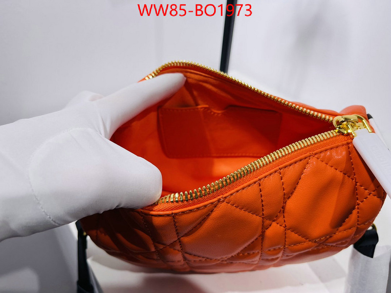 Dior Bags(4A)-Other Style-,ID: BO1973,$: 85USD