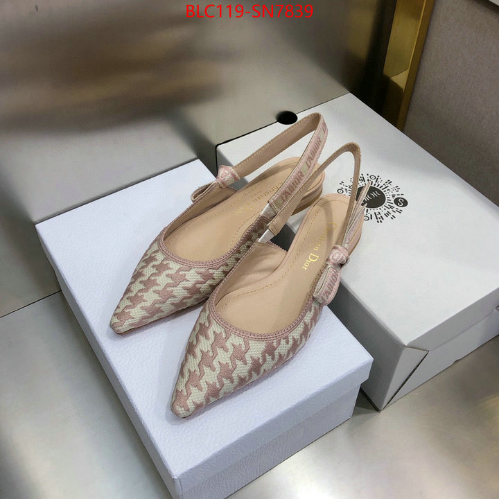 Women Shoes-Dior,how to start selling replica , ID: SN7839,$: 119USD