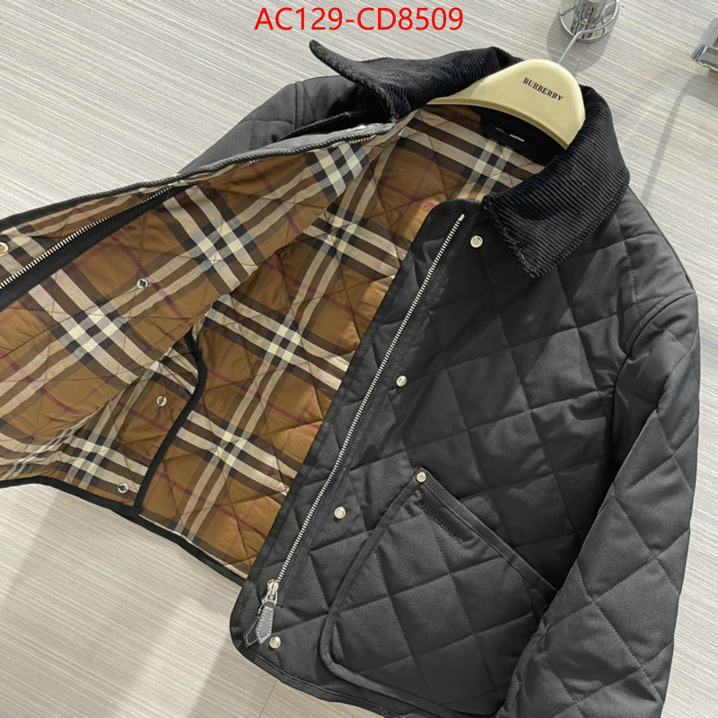 Down jacket Women-Burberry,high-end designer , ID: CD8509,$: 129USD