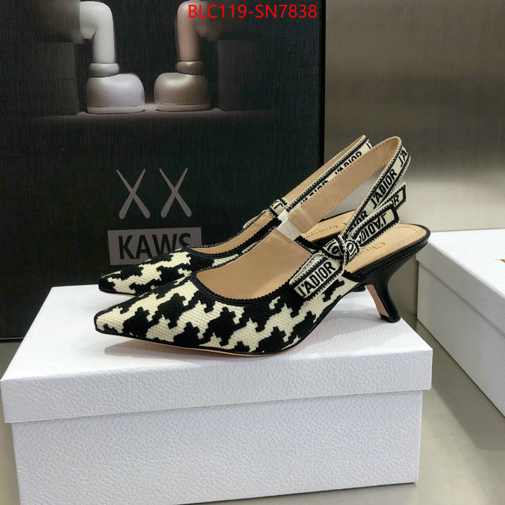 Women Shoes-Dior,can i buy replica , ID: SN7838,$: 119USD