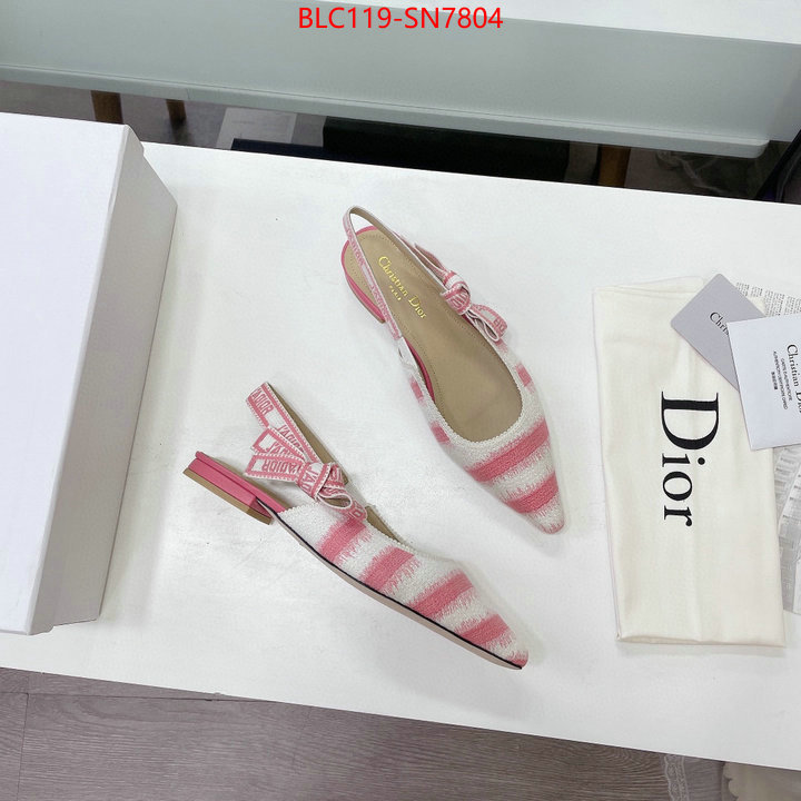 Women Shoes-Dior,wholesale designer shop , ID: SN7804,$: 119USD