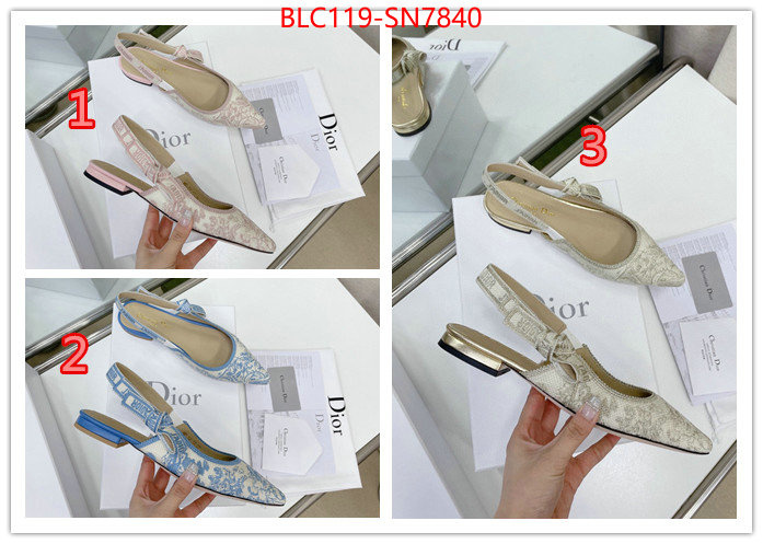 Women Shoes-Dior,replica designer , ID: SN7840,$: 119USD