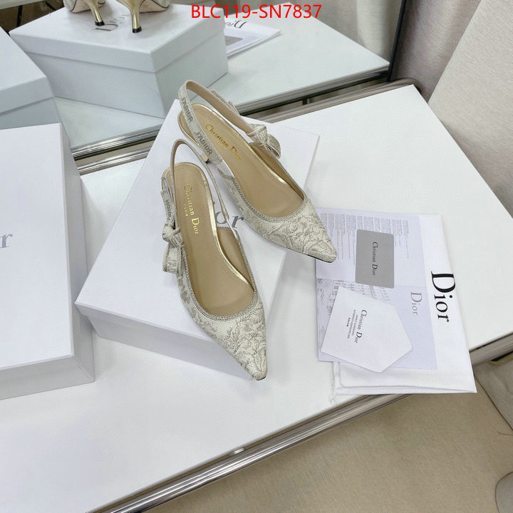 Women Shoes-Dior,replicas , ID: SN7837,$: 119USD