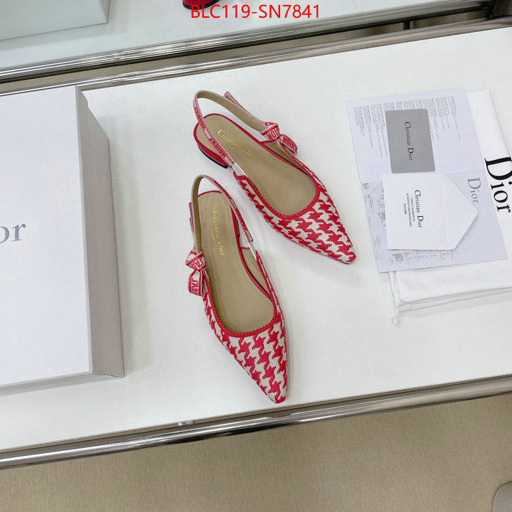 Women Shoes-Dior,outlet 1:1 replica , ID: SN7841,$: 119USD