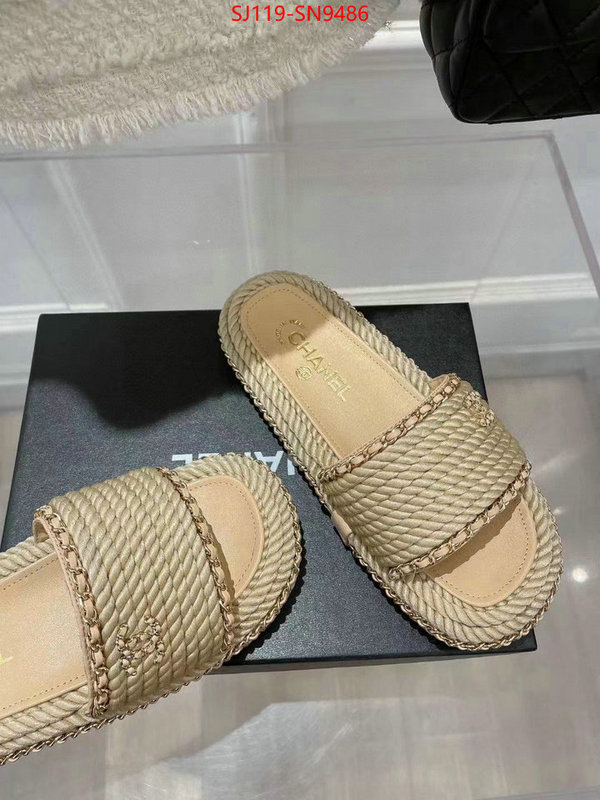 Women Shoes-Chanel,aaaaa+ replica designer , ID: SN9486,$: 119USD