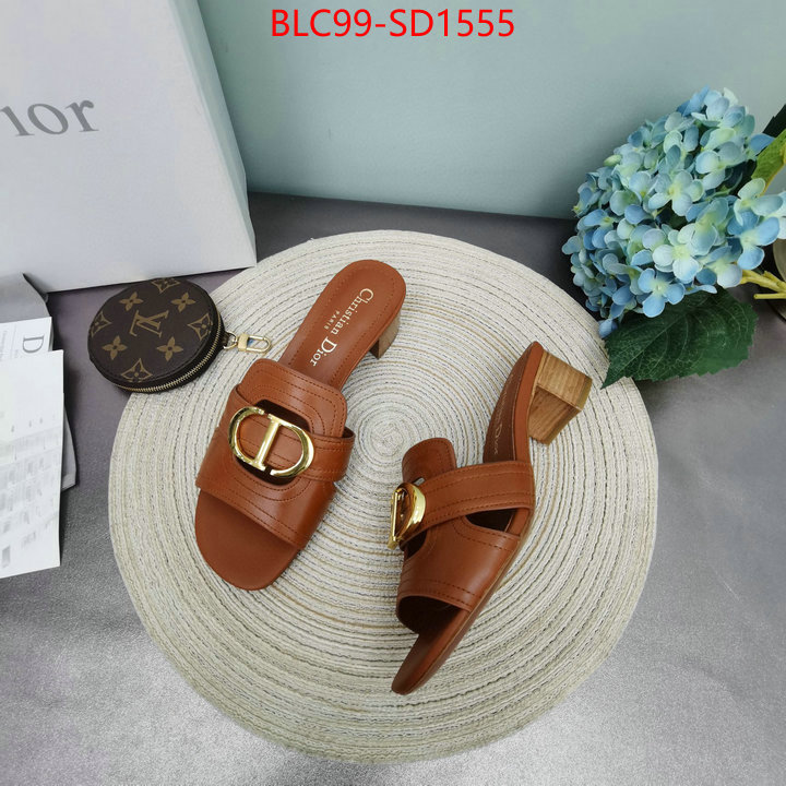 Women Shoes-Dior,can you buy replica , ID: SD1555,$: 99USD