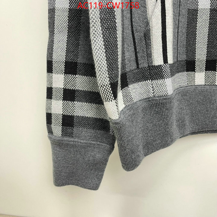 Clothing-Burberry,highest product quality , ID: CW1758,$: 119USD