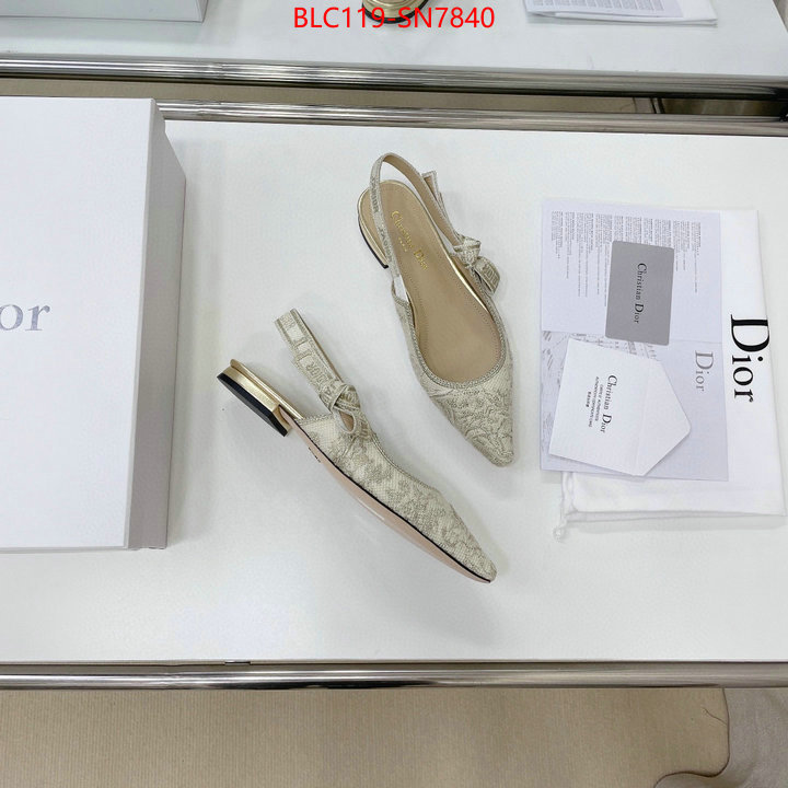 Women Shoes-Dior,replica designer , ID: SN7840,$: 119USD