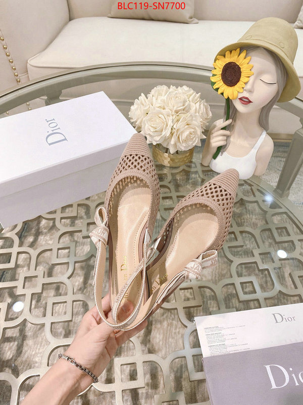 Women Shoes-Dior,sell online luxury designer , ID: SN7700,$: 119USD