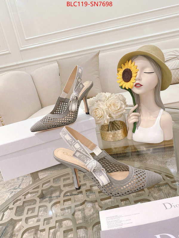 Women Shoes-Dior,how to buy replcia , ID: SN7698,$: 119USD