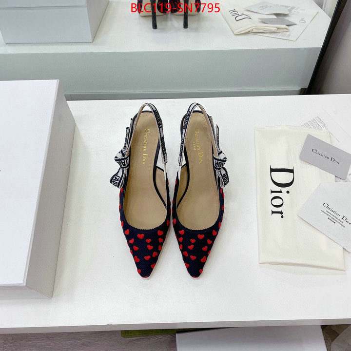 Women Shoes-Dior,what best replica sellers , ID: SN7795,$: 119USD