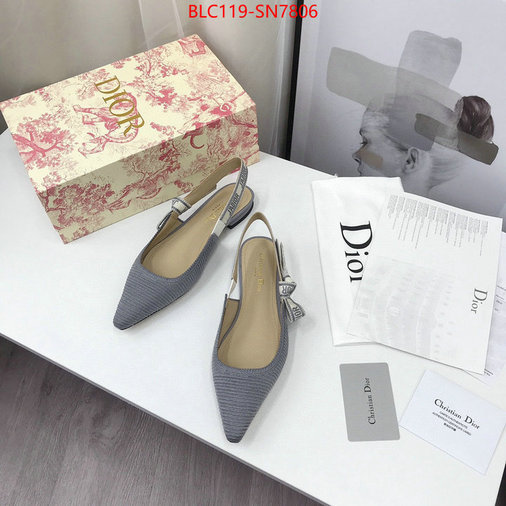 Women Shoes-Dior,how to find replica shop , ID: SN7806,$: 119USD