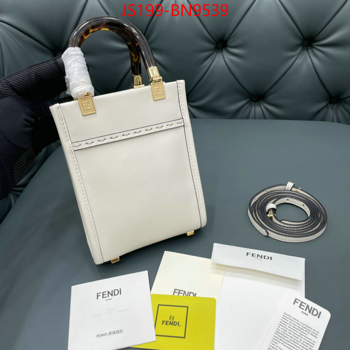 Fendi Bags(TOP)-Sunshine-,buy aaaaa cheap ,ID: BN9539,$:199USD