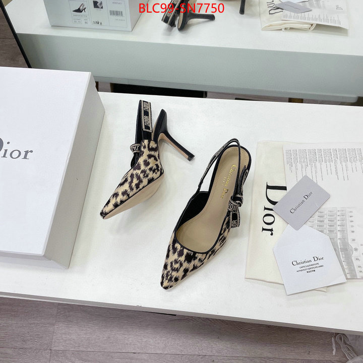 Women Shoes-Dior,high quality designer , ID: SN7750,$: 99USD