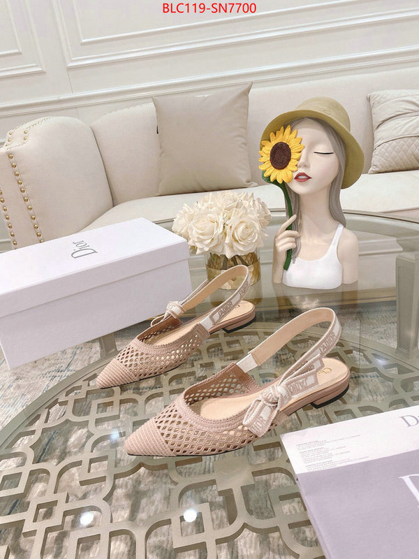 Women Shoes-Dior,sell online luxury designer , ID: SN7700,$: 119USD