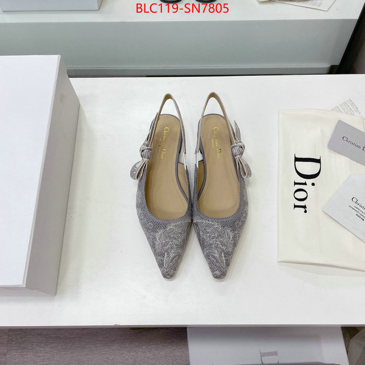 Women Shoes-Dior,the top ultimate knockoff , ID: SN7805,$: 119USD