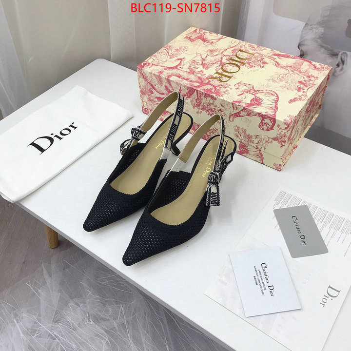 Women Shoes-Dior,shop cheap high quality 1:1 replica , ID: SN7815,$: 119USD