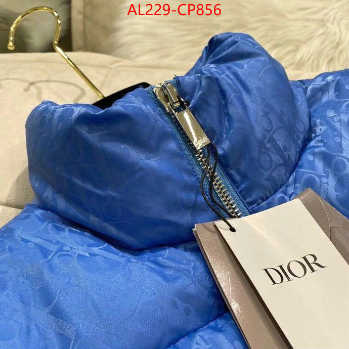 Down jacket Women-Dior,china sale , ID: CP856,$: 229USD