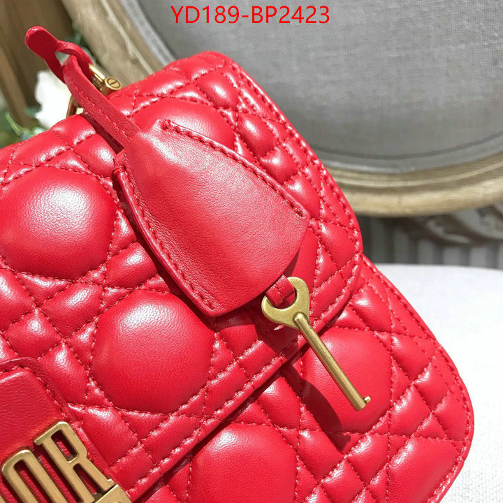 Dior Bags(TOP)-Other Style-,ID: BP2423,$: 189USD