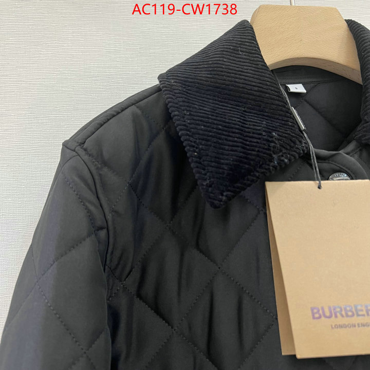 Down jacket Women-Burberry,practical and versatile replica designer , ID: CW1738,$: 119USD