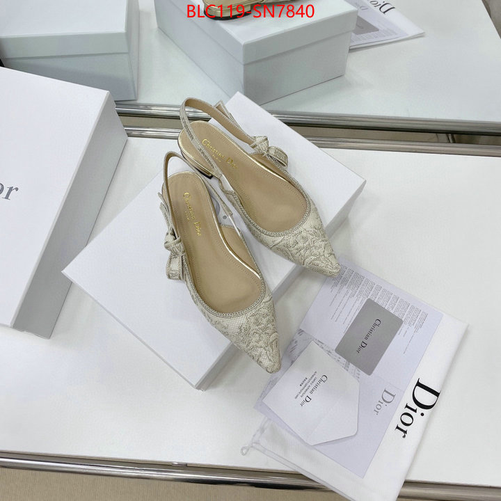 Women Shoes-Dior,replica designer , ID: SN7840,$: 119USD