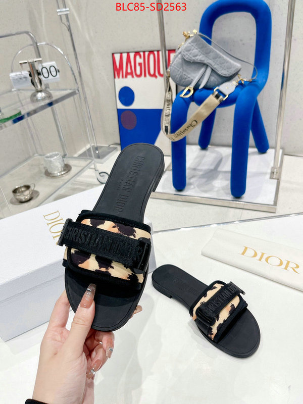 Women Shoes-Dior,high end designer , ID: SD2563,$: 85USD