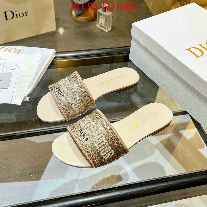 Women Shoes-Dior,designer 7 star replica , ID: SD1562,$: 95USD