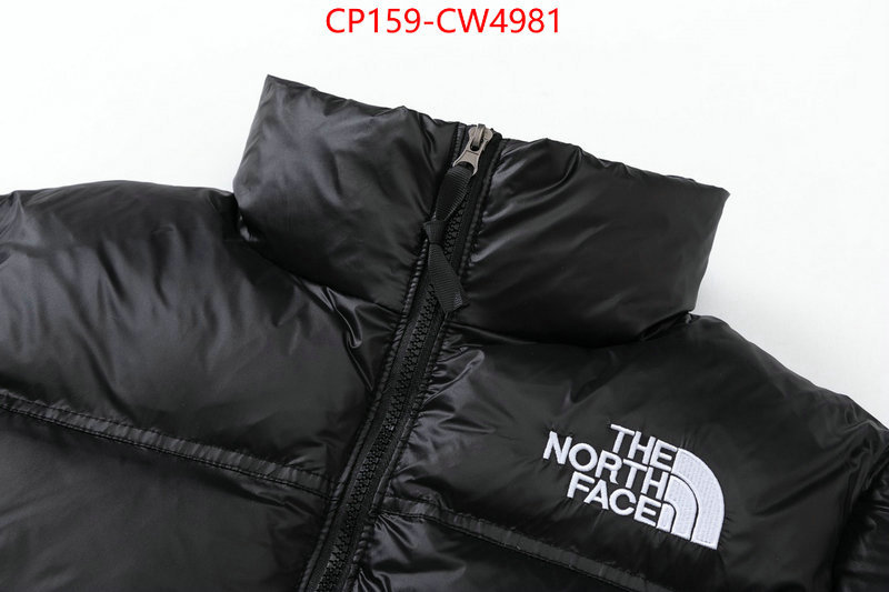 Down jacket Women-The North Face,where can you buy replica , ID: CW4981,$: 159USD