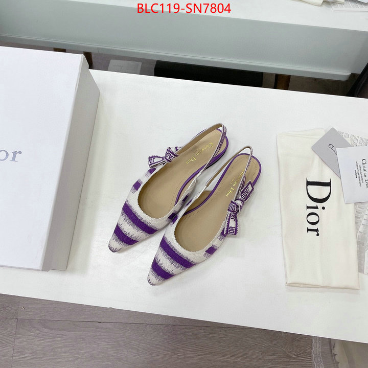 Women Shoes-Dior,wholesale designer shop , ID: SN7804,$: 119USD