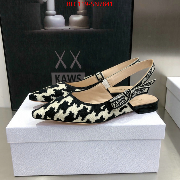 Women Shoes-Dior,outlet 1:1 replica , ID: SN7841,$: 119USD