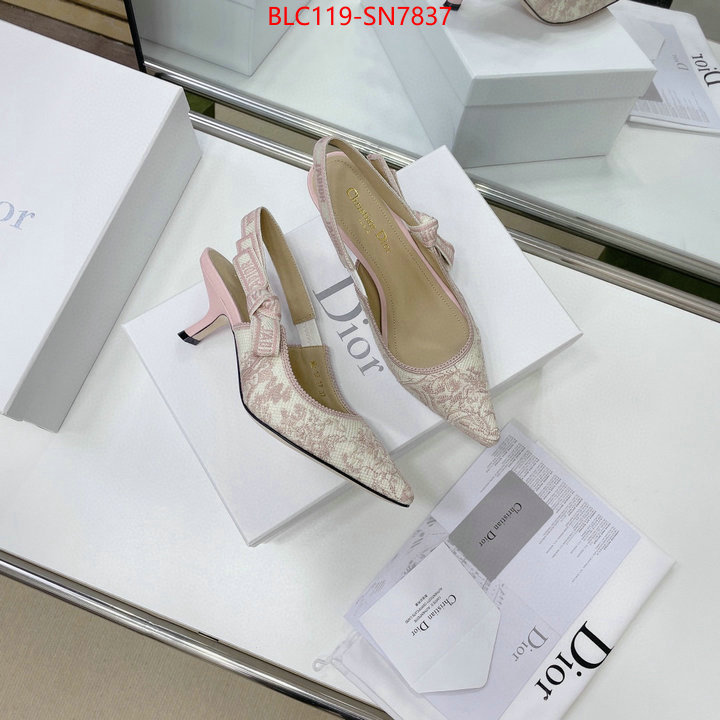 Women Shoes-Dior,replicas , ID: SN7837,$: 119USD