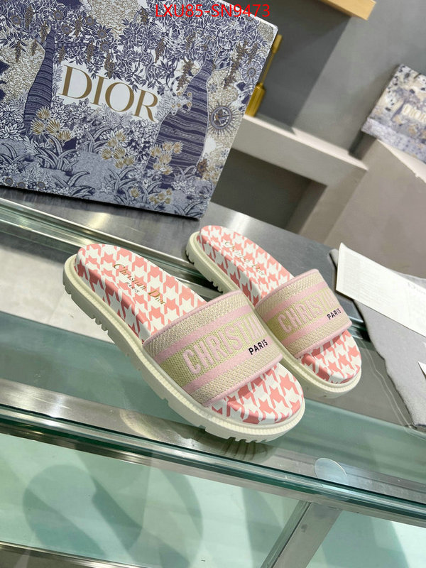 Women Shoes-Dior,sellers online , ID: SN9473,$: 85USD