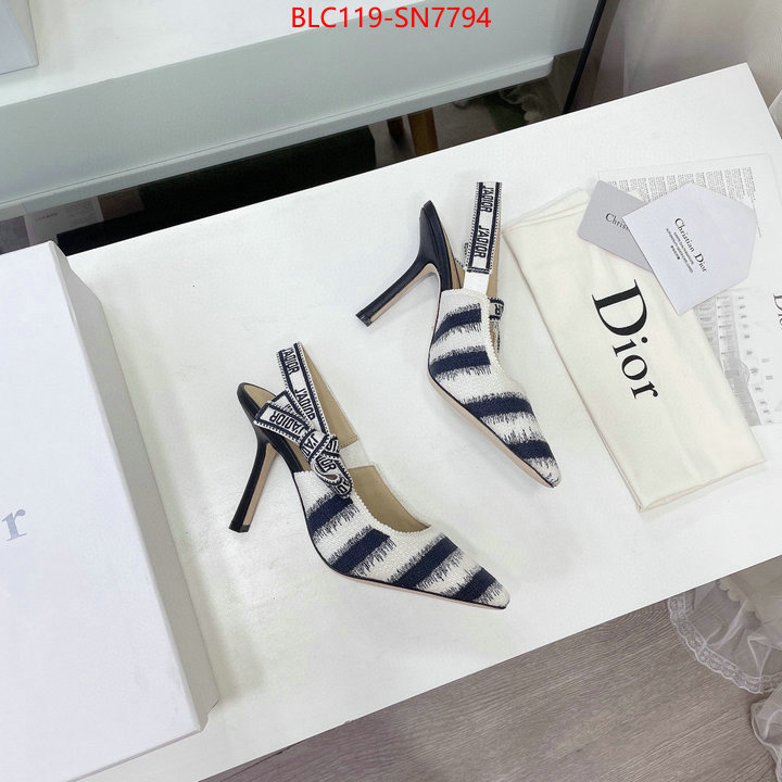 Women Shoes-Dior,online store , ID: SN7794,$: 119USD