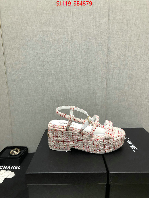 Women Shoes-Chanel,cheap replica designer , ID: SE4879,$: 119USD