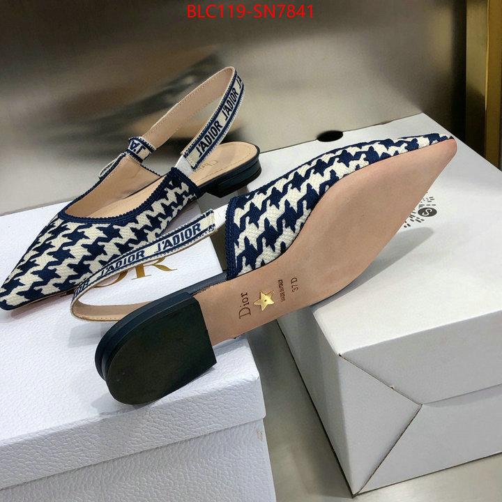 Women Shoes-Dior,outlet 1:1 replica , ID: SN7841,$: 119USD