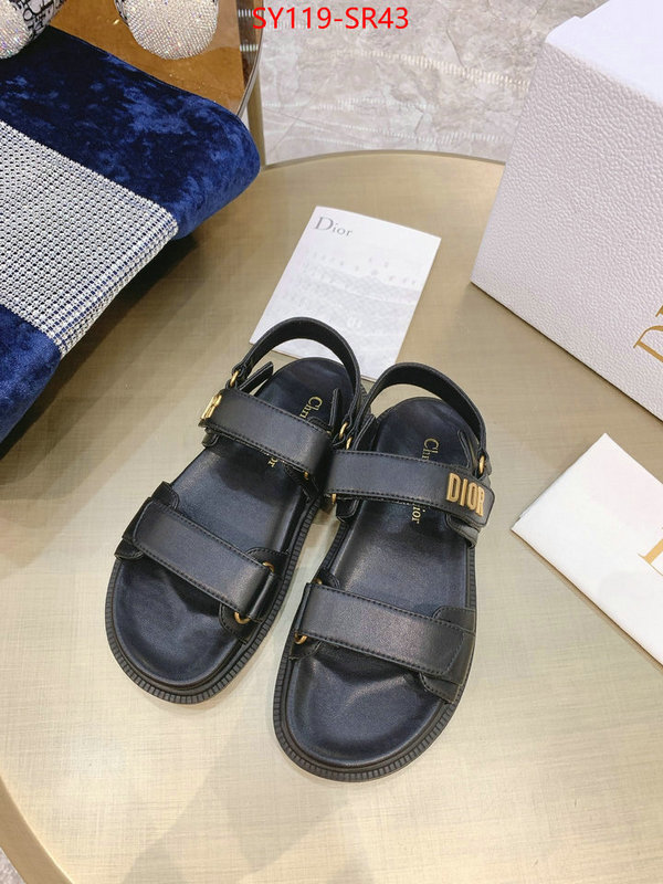 Women Shoes-Dior,is it ok to buy replica , ID: SR43,$: 119USD