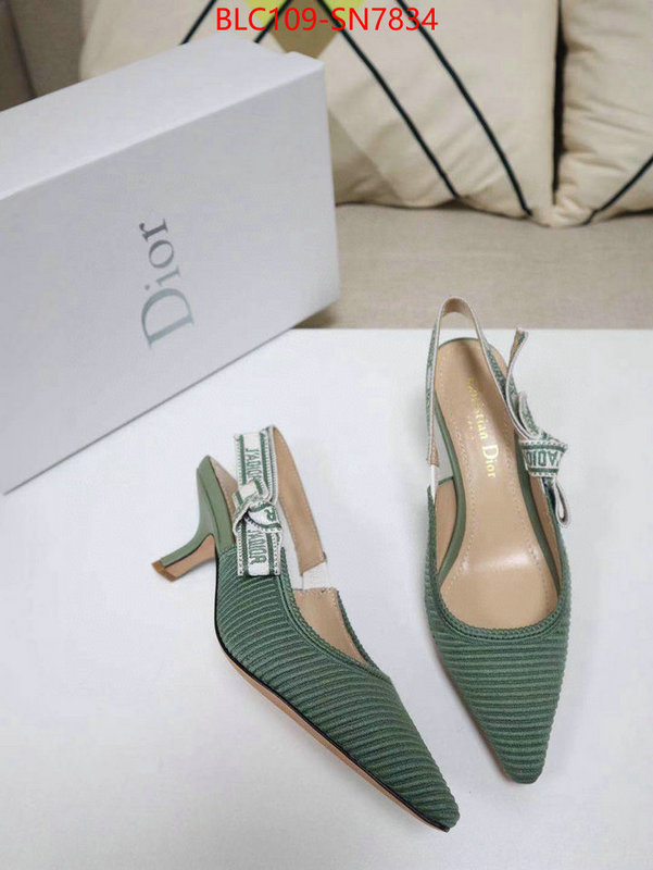 Women Shoes-Dior,the highest quality fake , ID: SN7834,$: 109USD