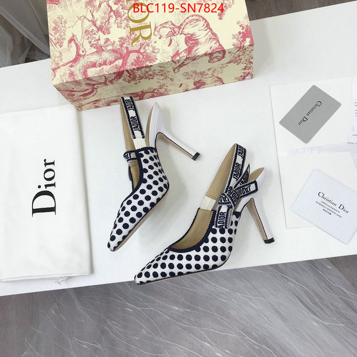 Women Shoes-Dior,online from china designer , ID: SN7824,$: 119USD